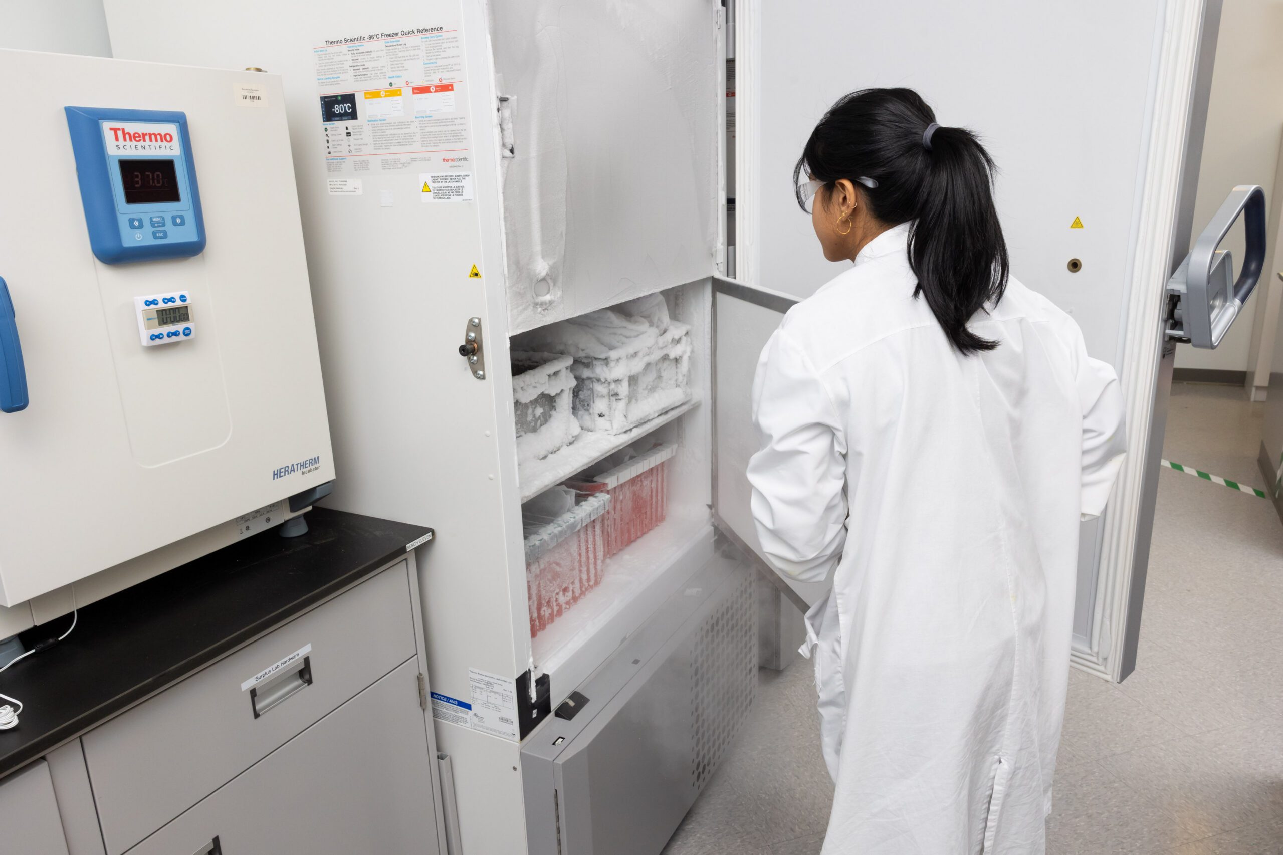 Scientist handling nail samples for ungual drug delivery testing in laboratory